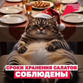 А у вас в холодильнике не осталось прошлогодних салатов? Самое время заглянуть туда и провести ревизию новогодних блюд