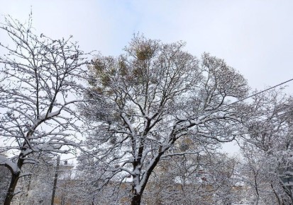 В Калининграде сотни горожан лишились света