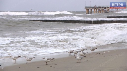 По сведениям Калининградского центра по гидрометеорологии и мониторингу окружающей среды, сегодня в регионе с 10:00-13:00 ожидается усиление юго-западного ветра 12-15 м/с, вечером на побережье до 20 м/с