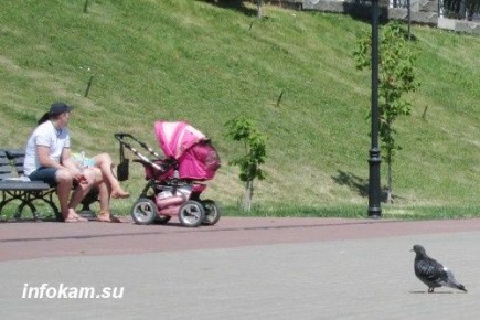 Пенсионные баллы в 2026 году: как не упустить вклад в будущее