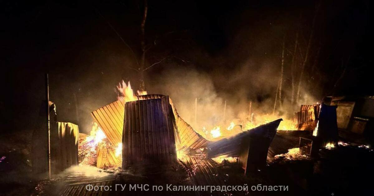 В Калининградской области за неделю сгорели и утонули три человека
